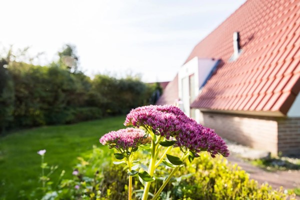 Medium property photo - Het Zwiggelterveld 110, 9433 VC Zwiggelte